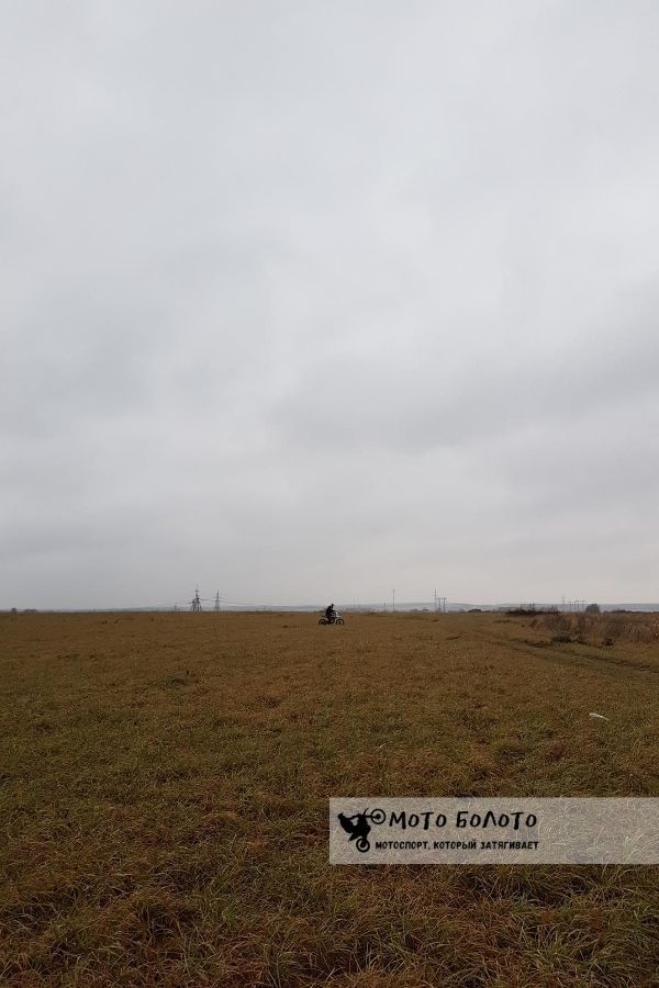 Пасмурное ноябрьское поле