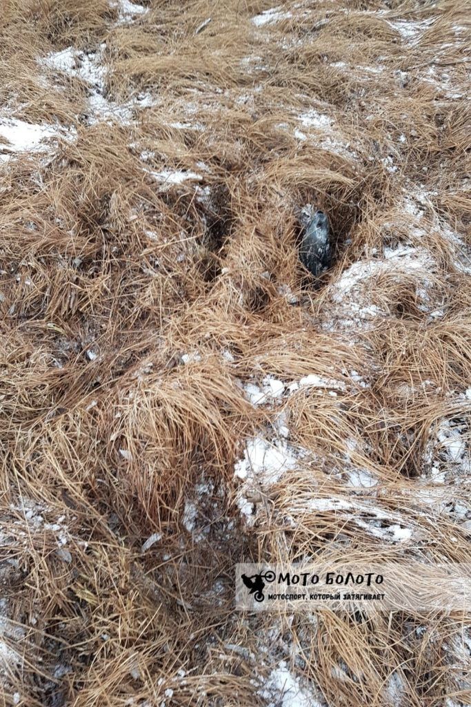 Следы от мотоцикла в болоте