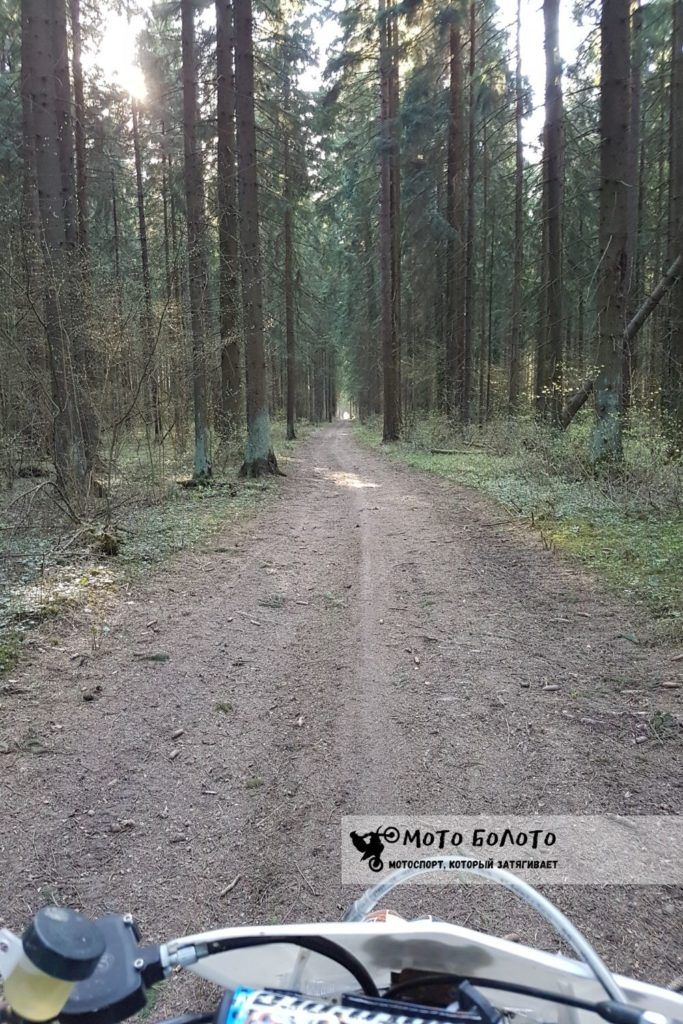 Лесное эндуро