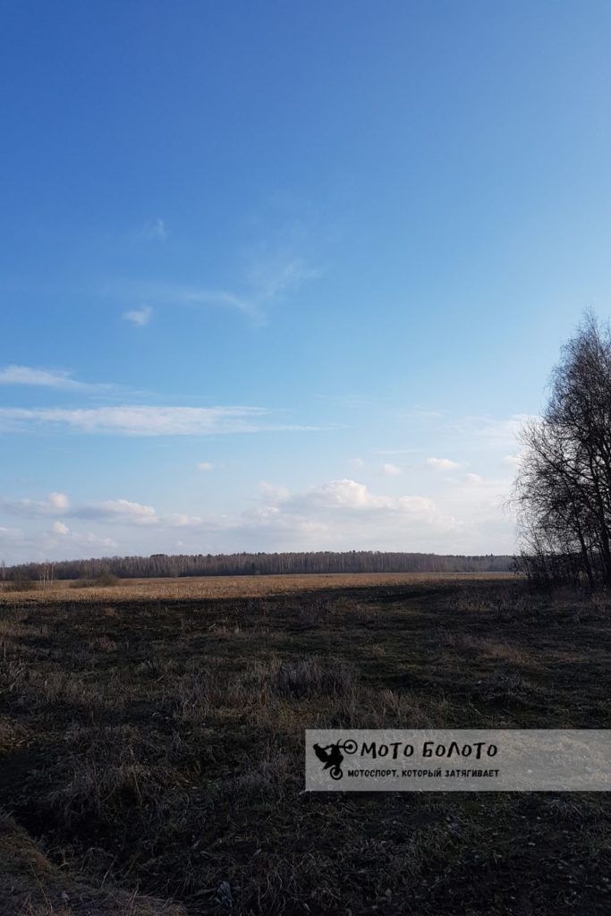 Весеннее поле