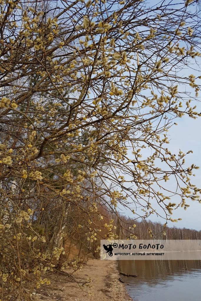 Весна пришла