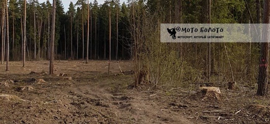 Эндуро по лесной вырубке