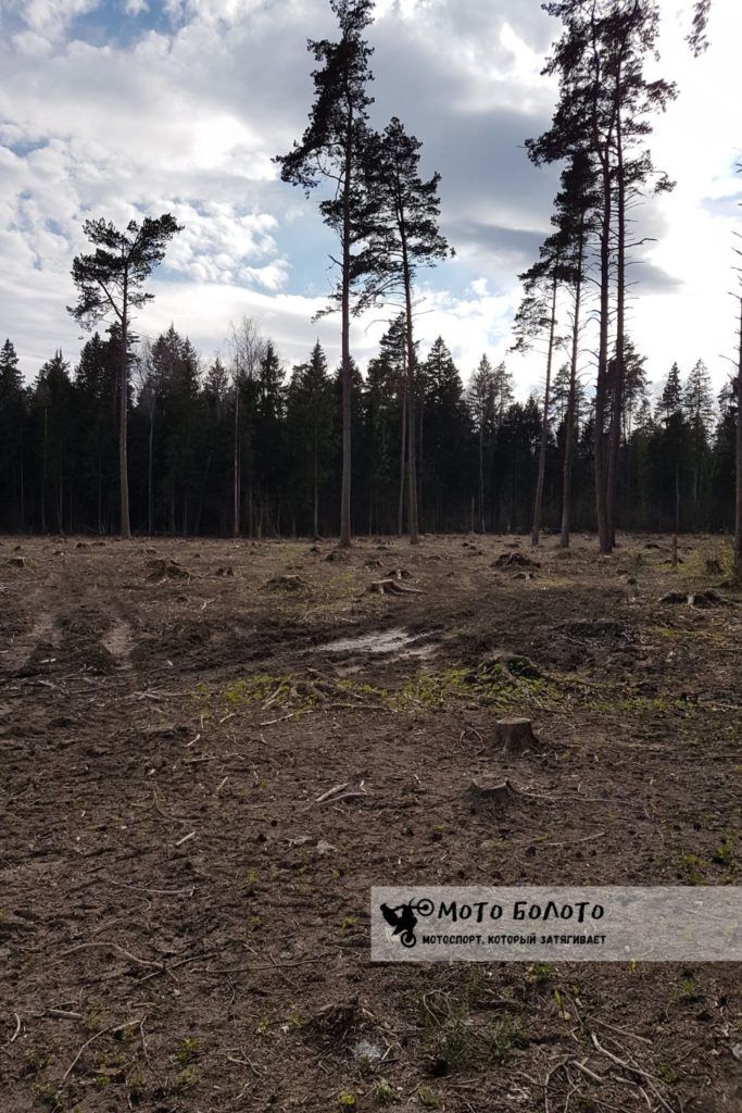 Hard enduro по вырубке